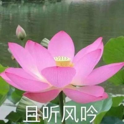 【境内疫情观察】广东连续10日无新增本土病例（7月1日）